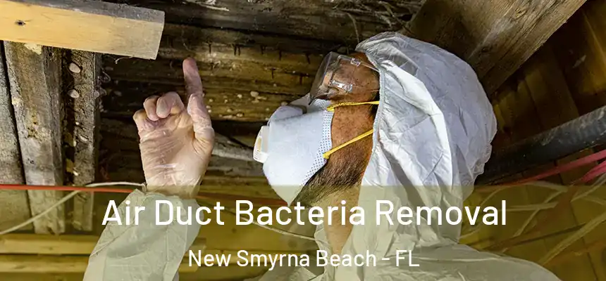 Air Duct Bacteria Removal New Smyrna Beach - FL