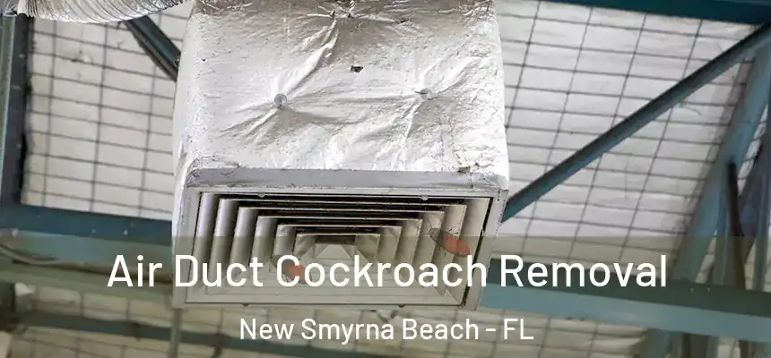 Air Duct Cockroach Removal New Smyrna Beach - FL