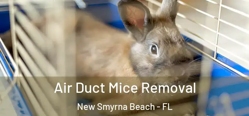 Air Duct Mice Removal New Smyrna Beach - FL
