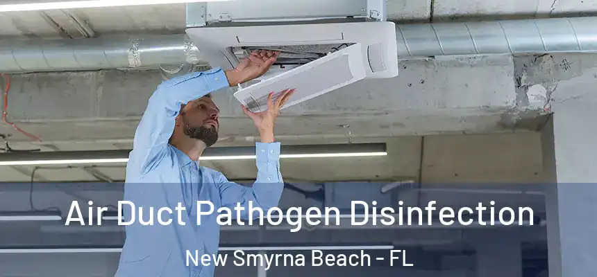 Air Duct Pathogen Disinfection New Smyrna Beach - FL