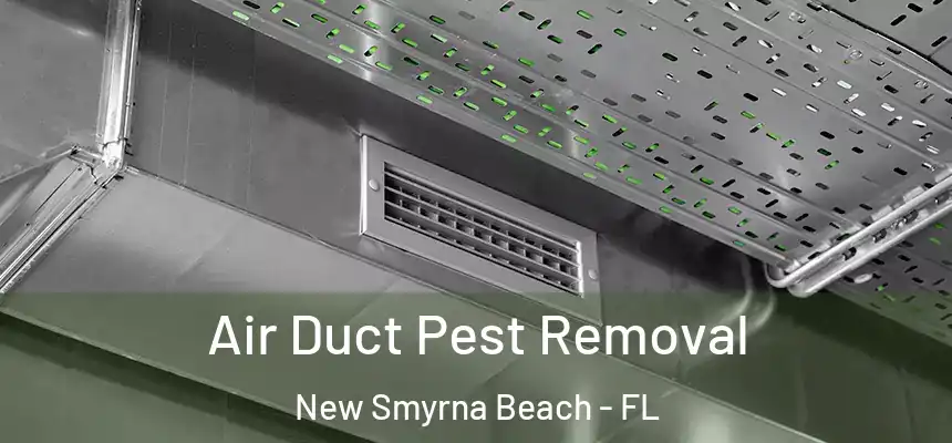 Air Duct Pest Removal New Smyrna Beach - FL