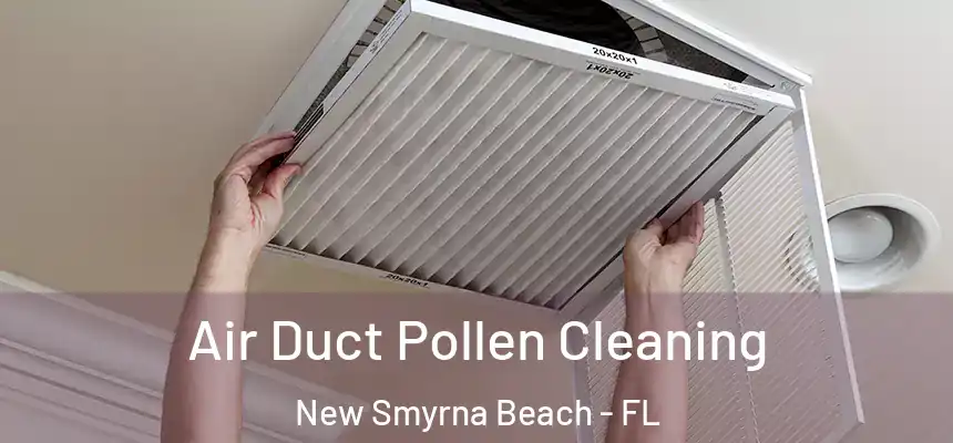 Air Duct Pollen Cleaning New Smyrna Beach - FL