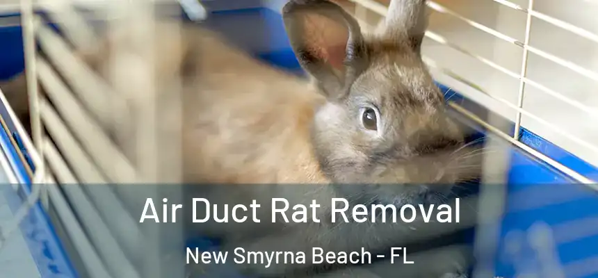 Air Duct Rat Removal New Smyrna Beach - FL