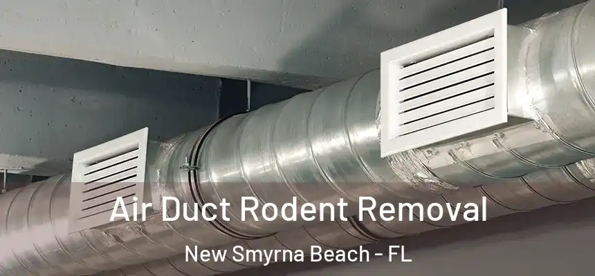 Air Duct Rodent Removal New Smyrna Beach - FL
