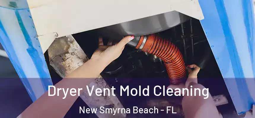 Dryer Vent Mold Cleaning New Smyrna Beach - FL