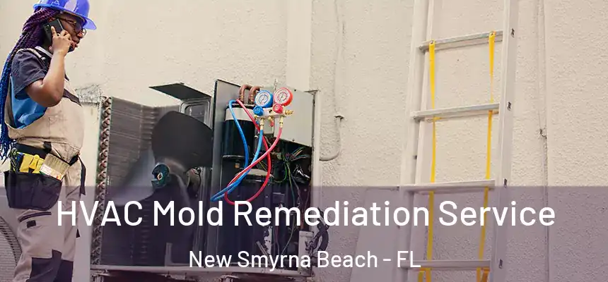 HVAC Mold Remediation Service New Smyrna Beach - FL