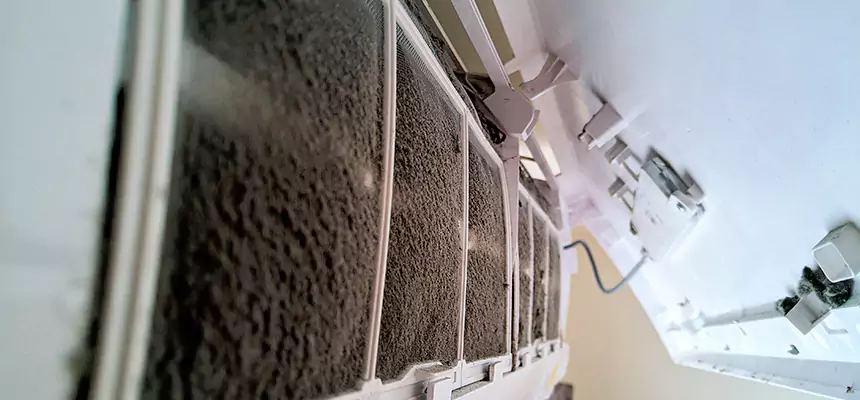 Preventive Air Duct Bacteria Removal in New Smyrna Beach