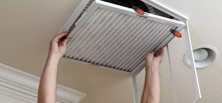 Preventive Cockroach-Proofing for Ducts in New Smyrna Beach