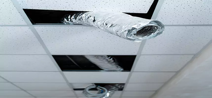 Affordable HVAC Sanitizing After Pest Removal in New Smyrna Beach