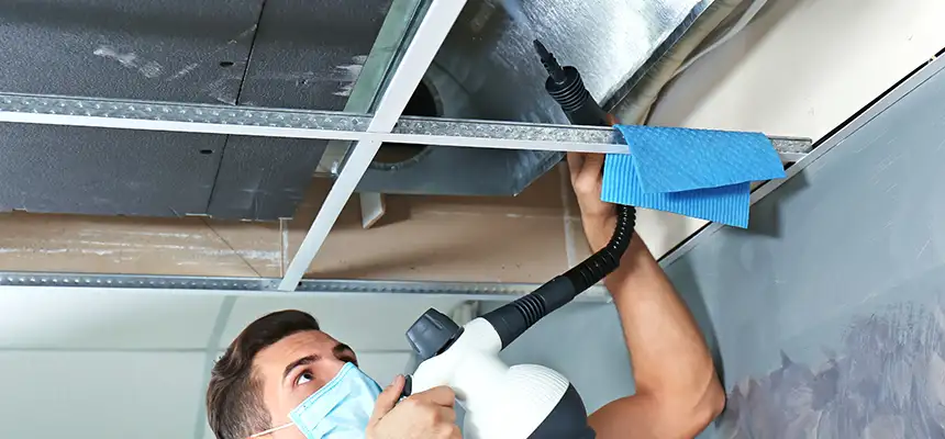 Our Air Duct Rodent Removal Services in New Smyrna Beach, FL