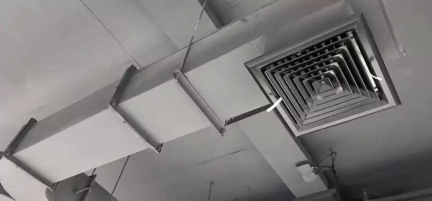 Restorative Allergy Relief Vent Cleaning – Coil, Blower & Housing Detail in New Smyrna Beach