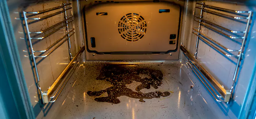 Our Dryer Vent Mold Cleaning Services in New Smyrna Beach, FL