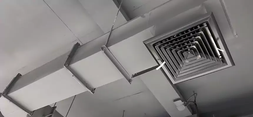 Our Pest Removal From Ducts Services in New Smyrna Beach, FL