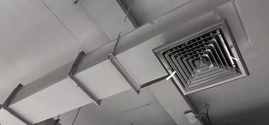 Our Rodent Droppings In Vents Services in New Smyrna Beach, FL