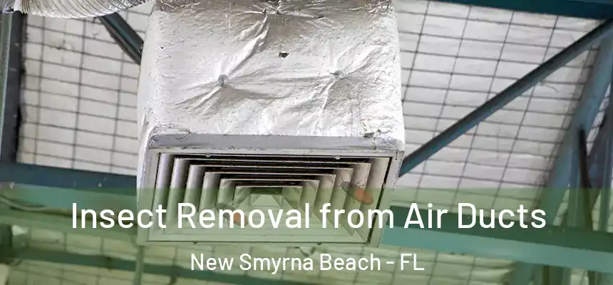 Insect Removal from Air Ducts New Smyrna Beach - FL