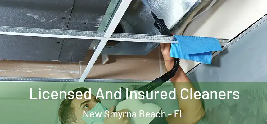 Licensed And Insured Cleaners New Smyrna Beach - FL