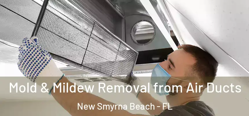 Mold & Mildew Removal from Air Ducts New Smyrna Beach - FL