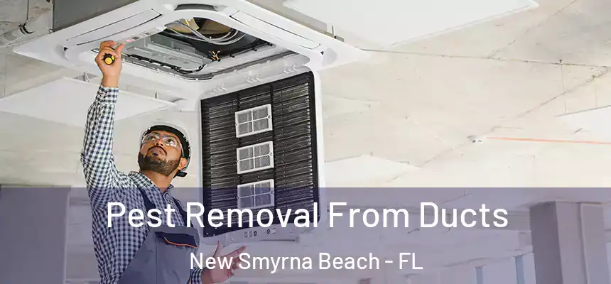 Pest Removal From Ducts New Smyrna Beach - FL