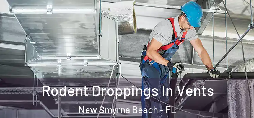 Rodent Droppings In Vents New Smyrna Beach - FL