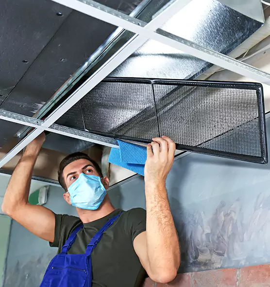 About Air Duct Bacteria Removal in New Smyrna Beach