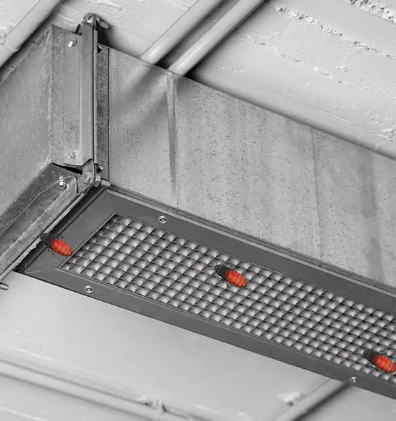 About Air Duct Cockroach Removal in New Smyrna Beach, FL