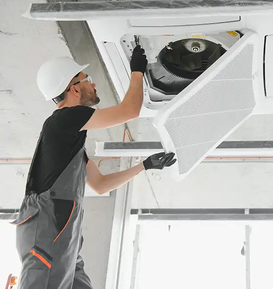 About Air Duct Rodent Removal in New Smyrna Beach, FL