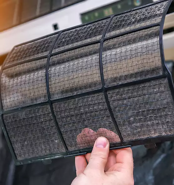 About Pet Dander Duct Cleaning in New Smyrna Beach, FL